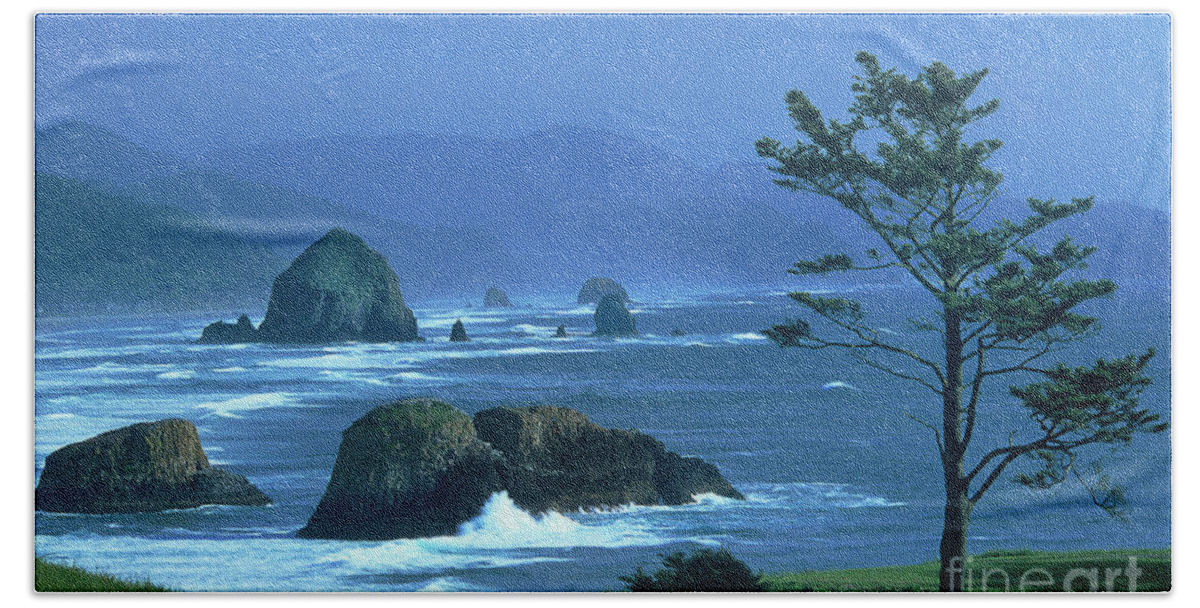 Dave Weling Bath Towel featuring the photograph Cannon Beach And Haystack Rock Ecola State Beach Oregon by Dave Welling