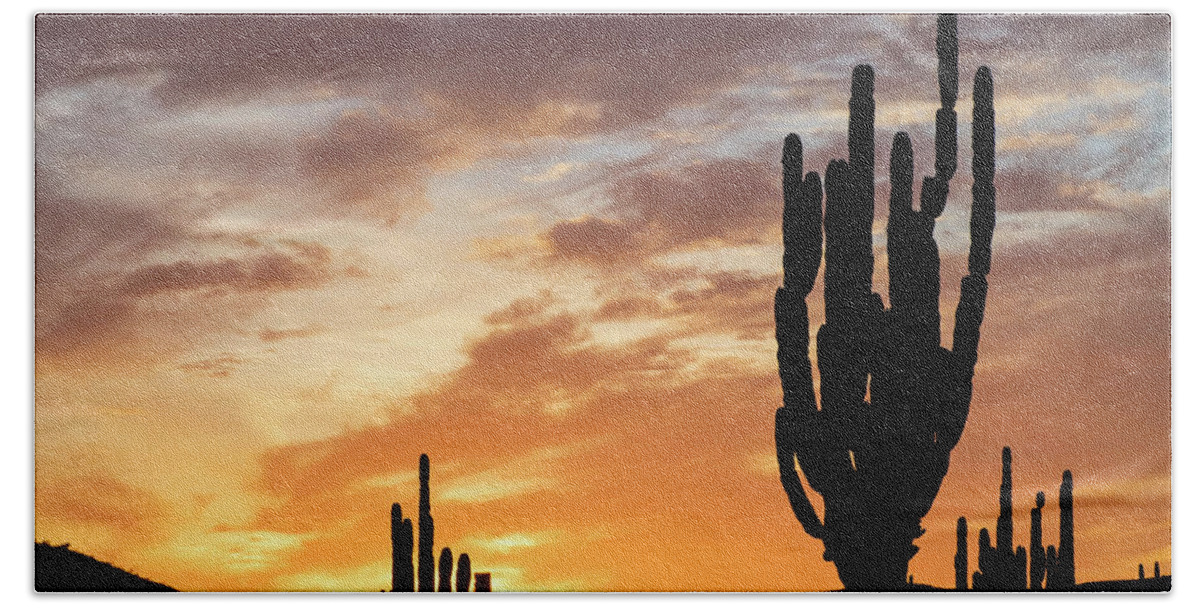 Estock Bath Towel featuring the digital art Cardon Cactus, Baja California, Mexico by Natalino Russo