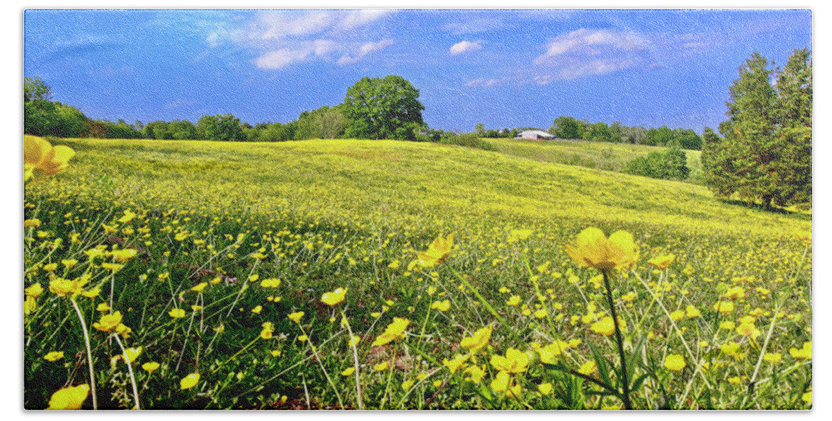 Flowering Field Bath Towel featuring the photograph Carpet of Flowers, Smith Mountain Lake by The James Roney Collection