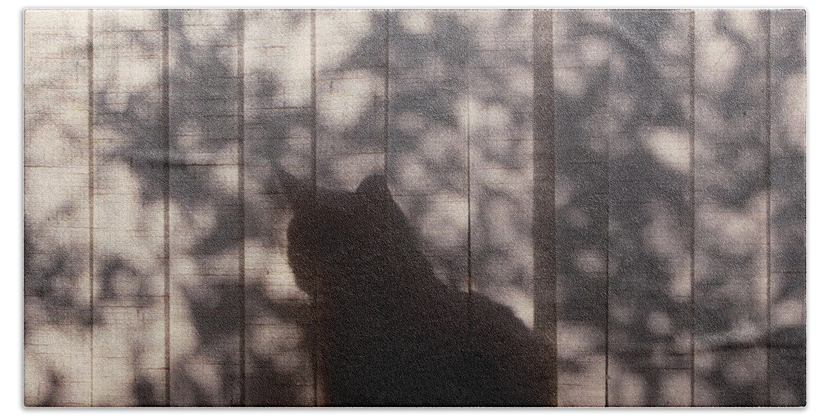 Cat Hand Towel featuring the photograph Cat Silhouette by Marty Klar