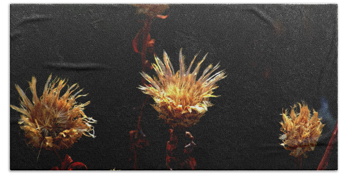 Palo Duro Canyon Bath Towel featuring the photograph Catcus Blooms by George Taylor