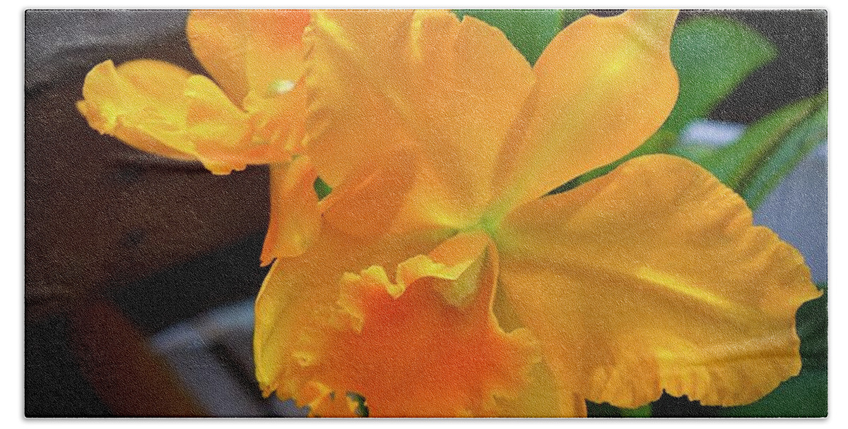 #cattleya #orchid #orange #garyfrichards #gary #richards #petals #ruffledpetals #white #blooms #blooms #marieselbybotanicalgarden #botanical #garden #sarasota #florida #usa Bath Towel featuring the digital art Cattleya Orchid Orange by Gary F Richards