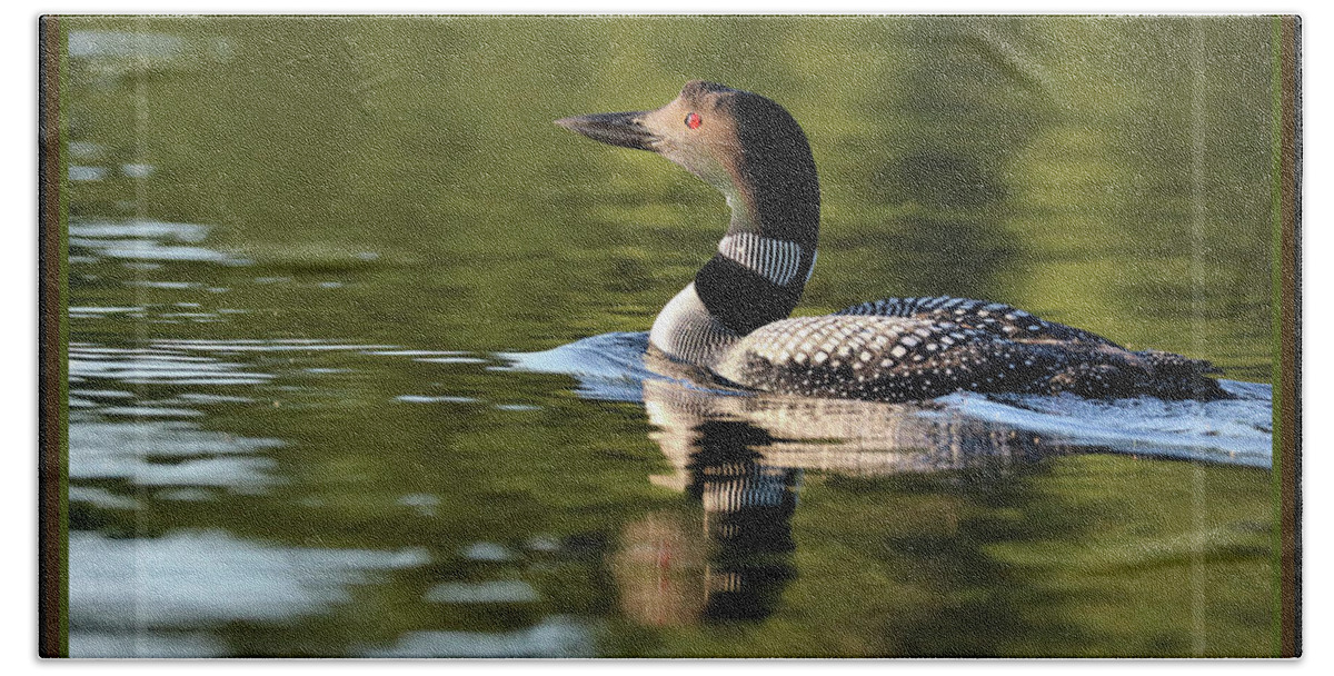 Common Loon Hand Towel featuring the photograph Celebrating the love of Loons by Sandra Huston