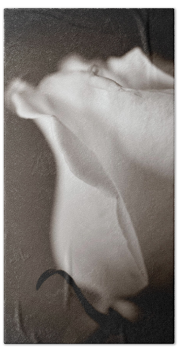 Sepia Bath Towel featuring the photograph Chance by Michelle Wermuth