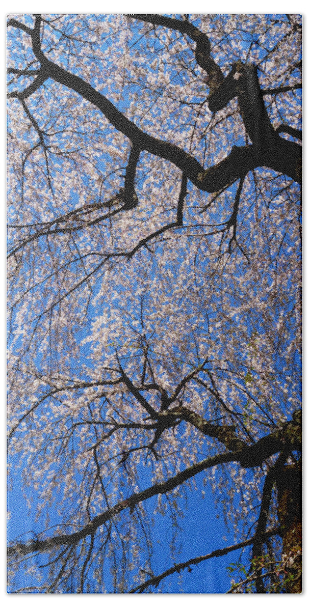 Spring Landscape Bath Towel featuring the photograph Cherry Blossom Abstract by Mike McBrayer