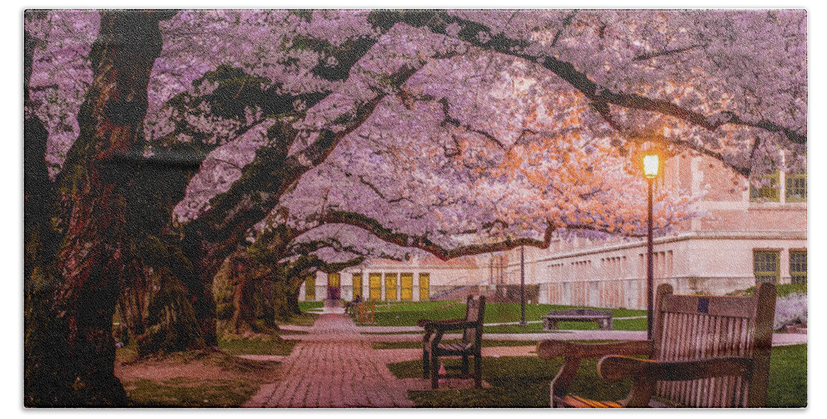 University Of Washington Quad Hand Towel featuring the photograph Cherry Blossom Elegance by Emerita Wheeling
