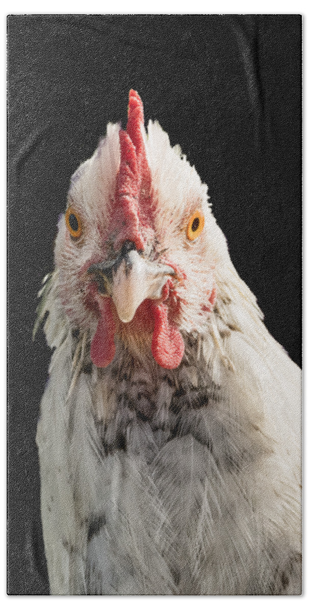 Chicken Head Hand Towel featuring the photograph Chicken Head by Jean Noren