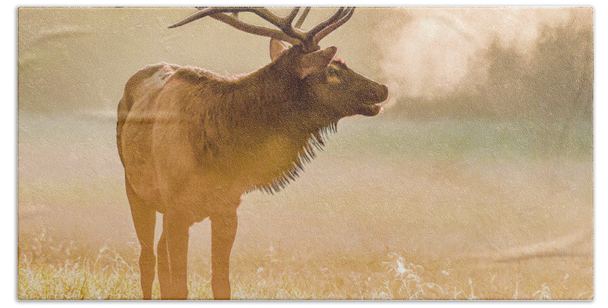 Elk Hand Towel featuring the photograph Frosty Bugle Breath by Marcy Wielfaert