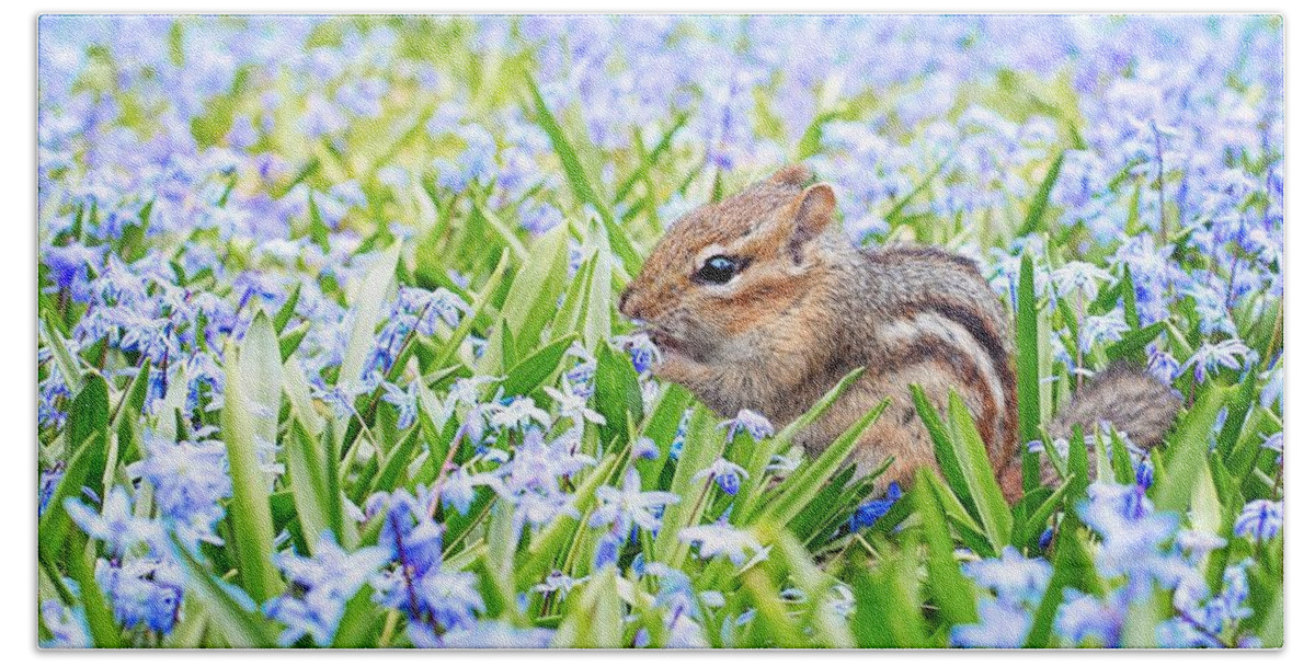 Chipmunk Bath Towel featuring the photograph Chipmunk on flowers by Top Wallpapers