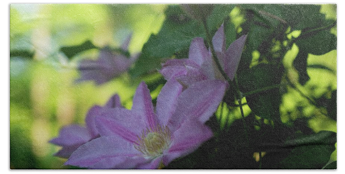 Clematis Bath Towel featuring the photograph Clematis by Jan Daniels
