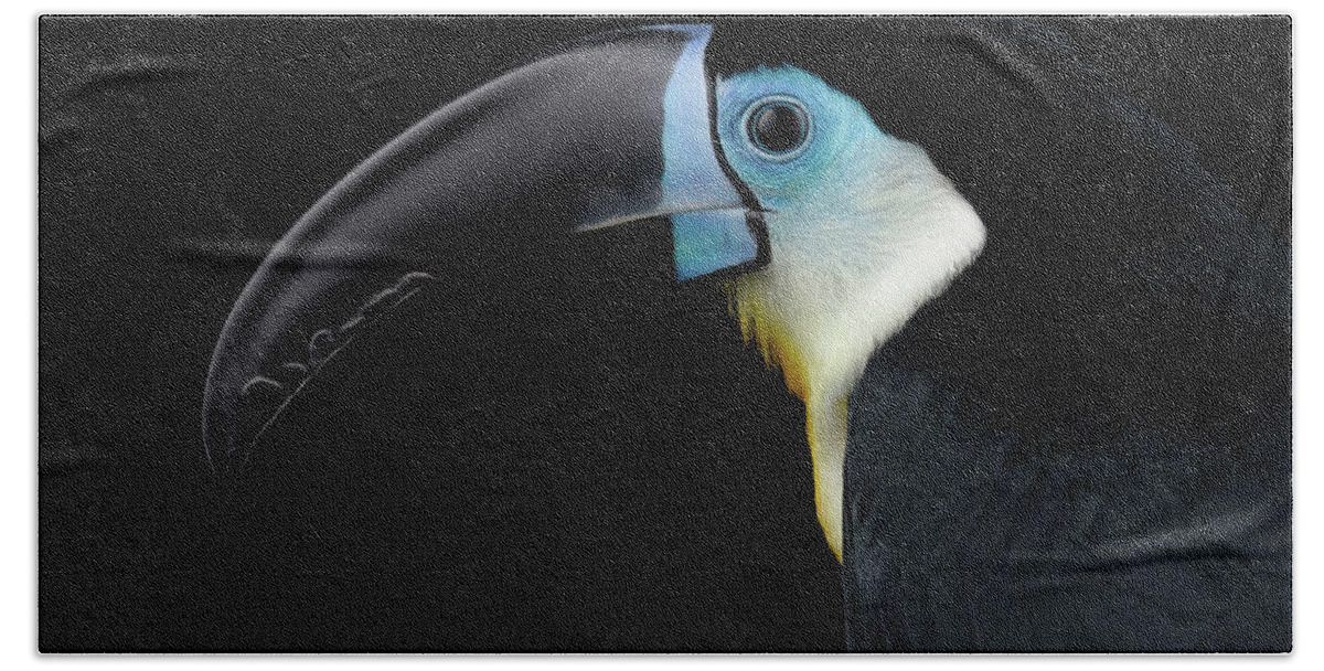 Beak Hand Towel featuring the photograph Close-up Channel-billed Toucan, Ramphastos vitellinus, Isolated on Black by Sergey Taran