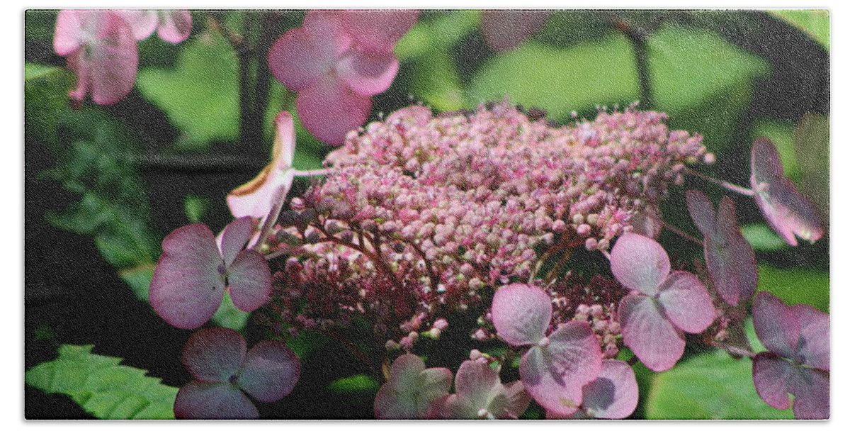 Hydrangea Bath Towel featuring the photograph Closeup of Bouquet Pink Hydrangea by Colleen Cornelius