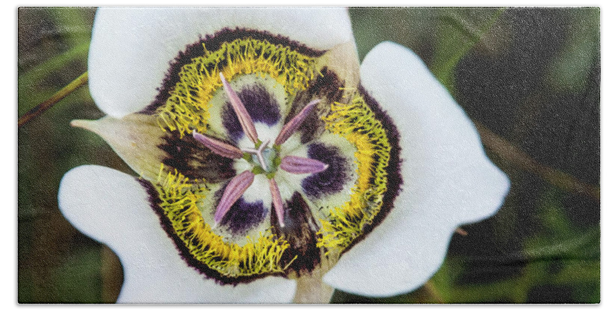Macro Hand Towel featuring the photograph Colorado Mariposa Lily by Ginger Stein