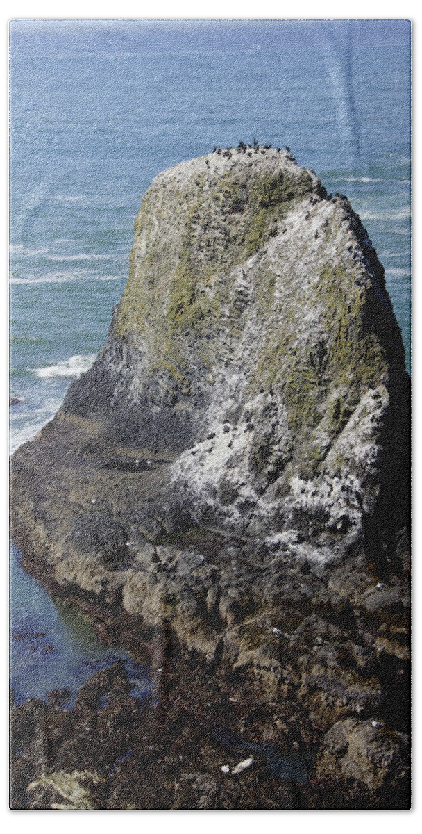 Cobble Beach Bath Towel featuring the photograph Common Murre and pelagic cormorant by Steve Estvanik