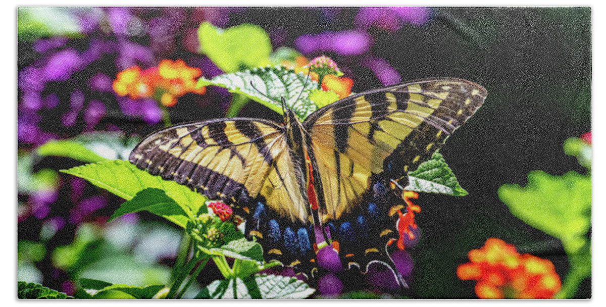 Swallowtail Hand Towel featuring the photograph Common Swallowtail by Marcy Wielfaert