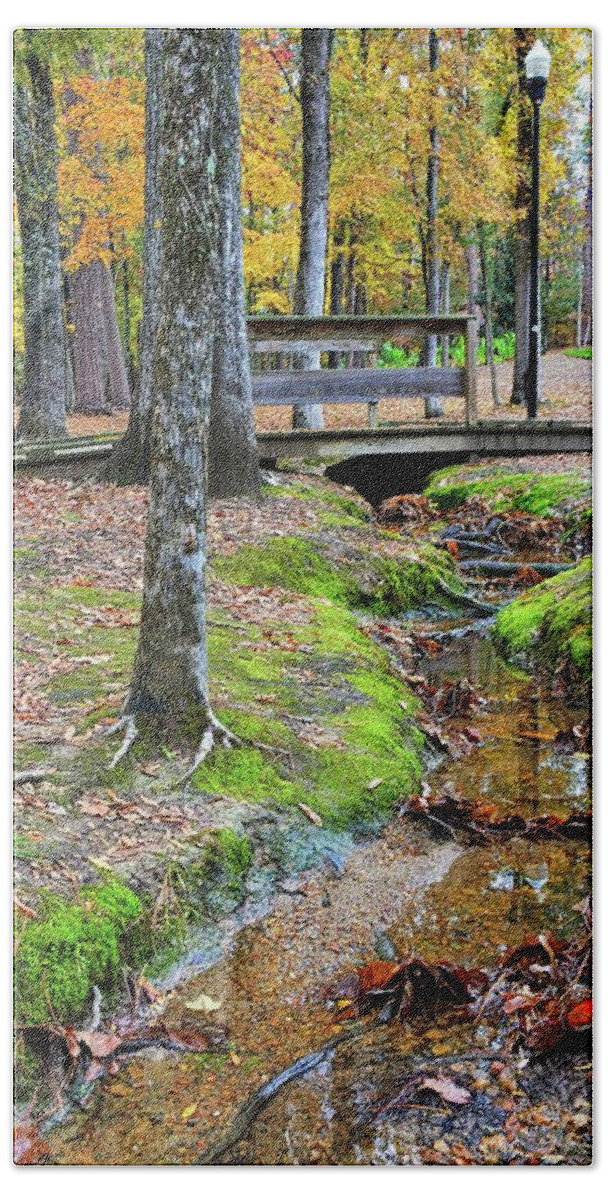 Community Park Of Irmo South Carolina Creek Hand Towel featuring the photograph Community Park Of Irmo South Carolina Creek by Lisa Wooten