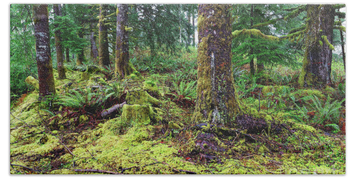 Close Up Bath Towel featuring the photograph Conifer forest understory close up yellow green moss covering gr by Robert C Paulson Jr