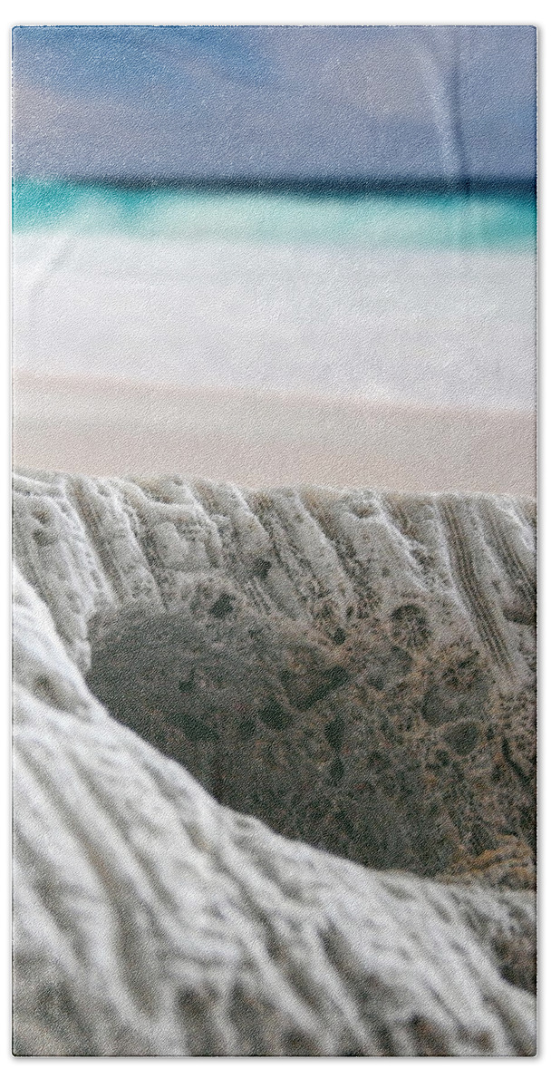 Coral Reef Bath Towel featuring the photograph Coral By The Sea by Phil Perkins