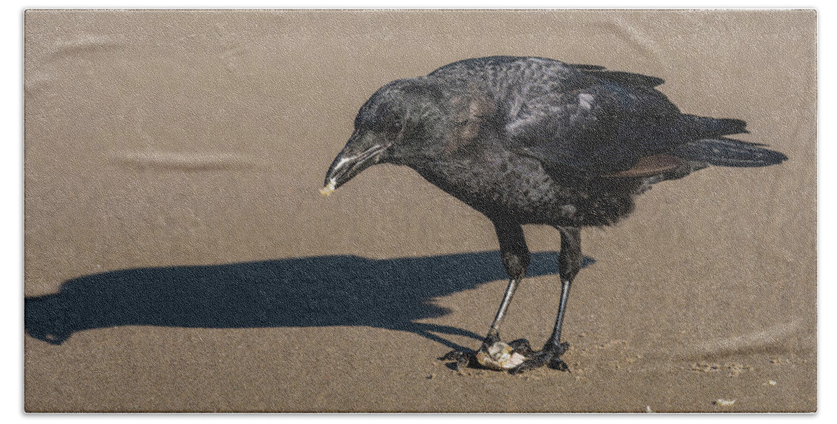 American Crow Hand Towel featuring the photograph Crab for Dinner by Robert Potts