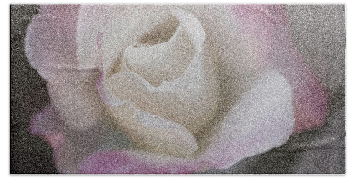 Rose Hand Towel featuring the photograph Creamy White Center by TL Wilson Photography by Teresa Wilson