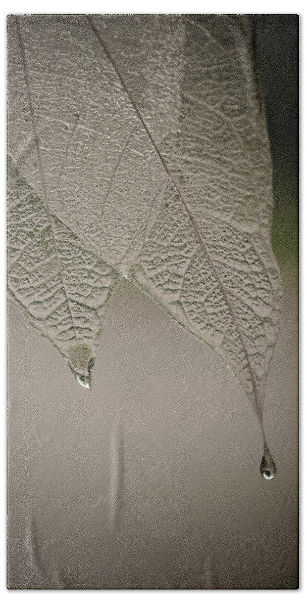 Leaf Bath Towel featuring the photograph Crystal Rain by Maggie Terlecki