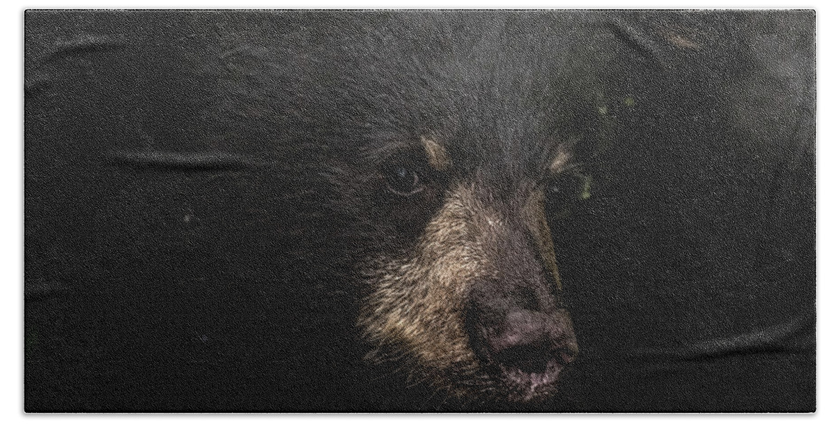 Bear Hand Towel featuring the photograph Cubby by David Kirby