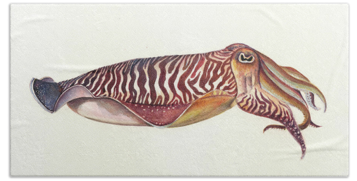 Cuttlefish Art Hand Towel featuring the painting Cuttlefish watercolor by Juan Bosco