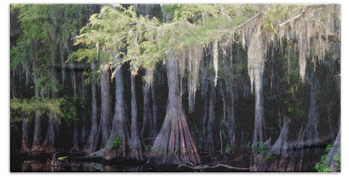 Caddo Lake Bath Towel featuring the photograph Cypress Bank by Lana Trussell