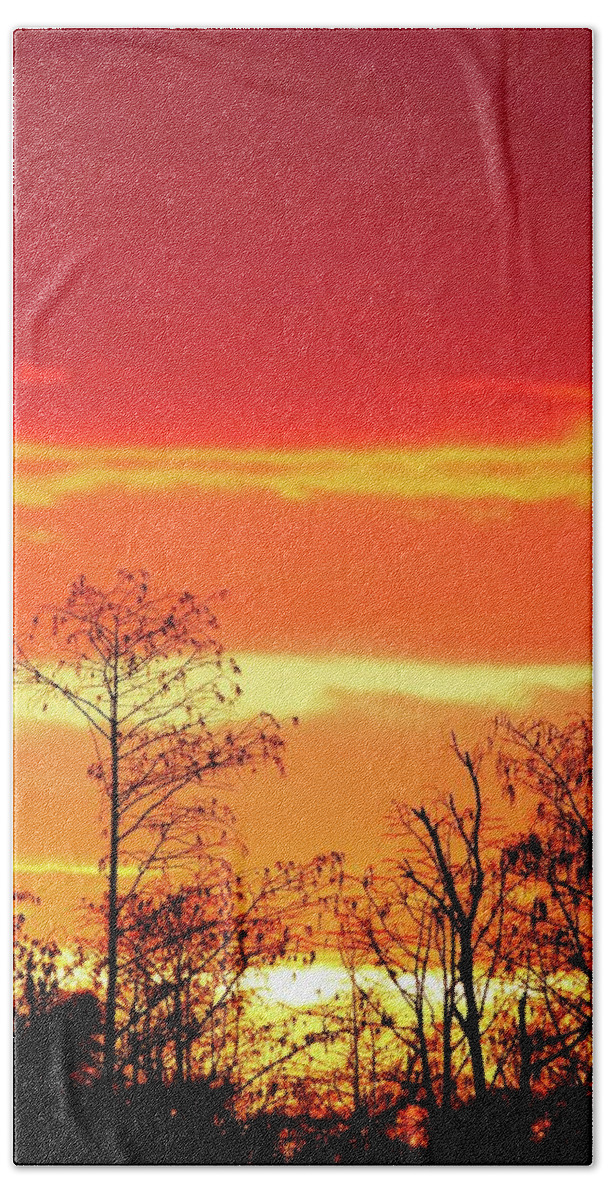 Sunset Bath Towel featuring the photograph Cypress Swamp Sunset 5 by Steve DaPonte