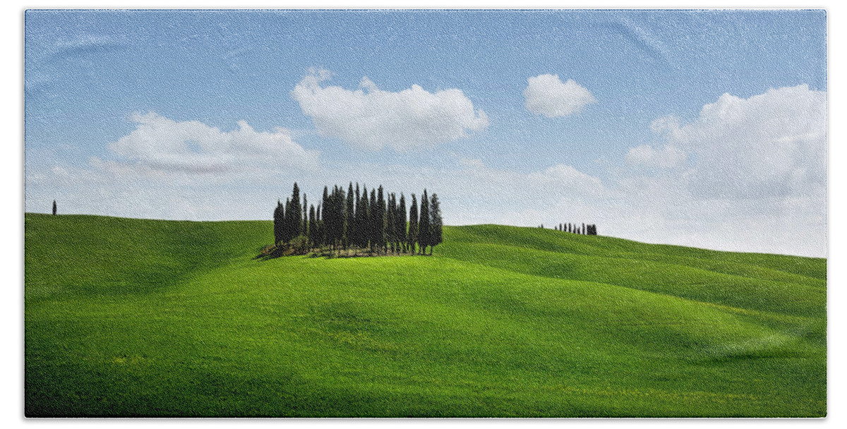 Agriculture Bath Towel featuring the photograph Cypress trees in Tuscany by Francesco Riccardo Iacomino