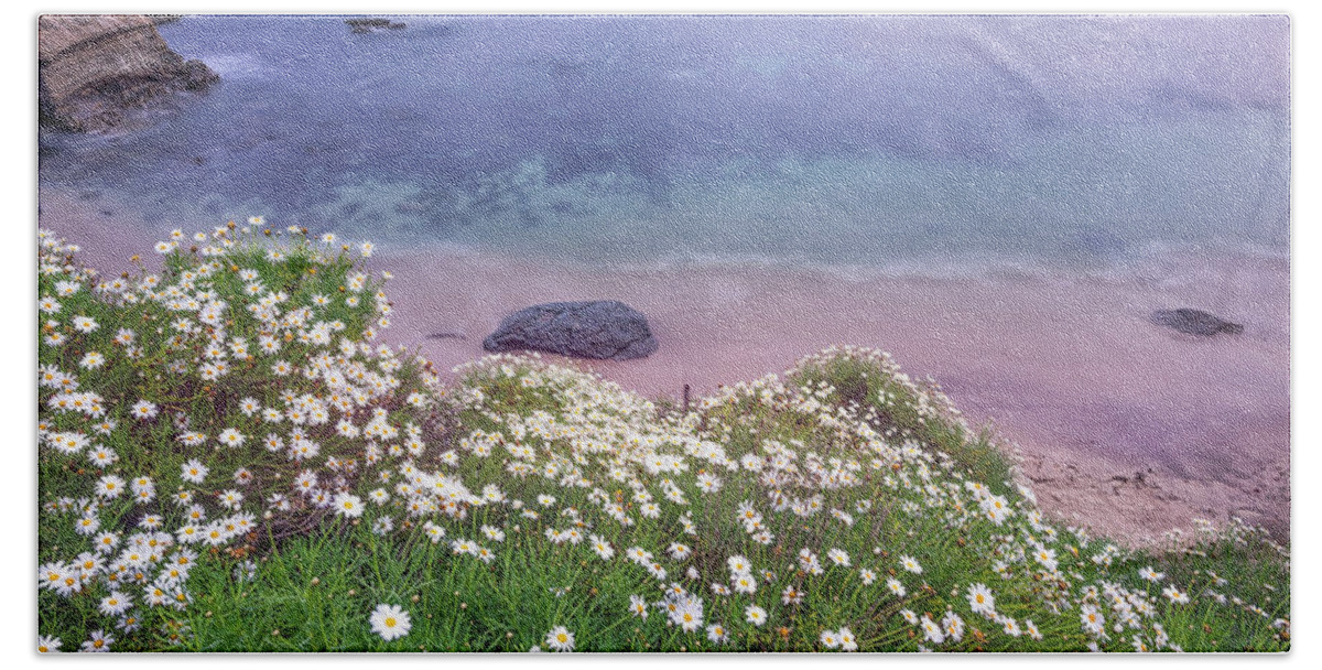 Daisy Bath Towel featuring the photograph Dainty Daisies At The Cove by Joseph S Giacalone