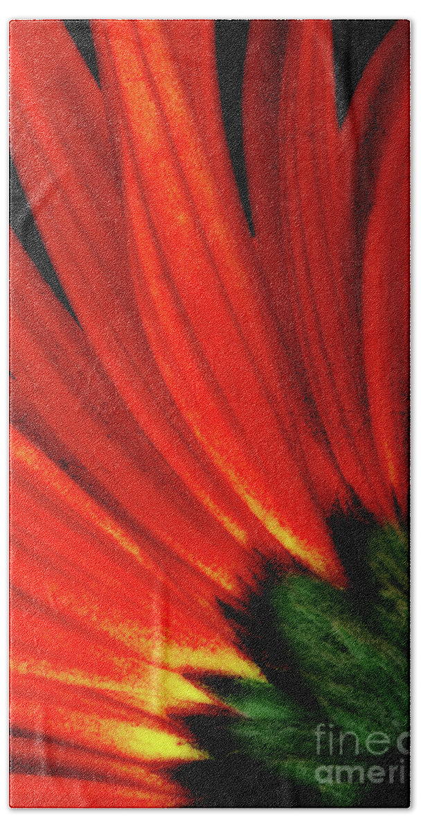 Gerbera Daisy Hand Towel featuring the photograph Daisy Aflame by Anita Pollak