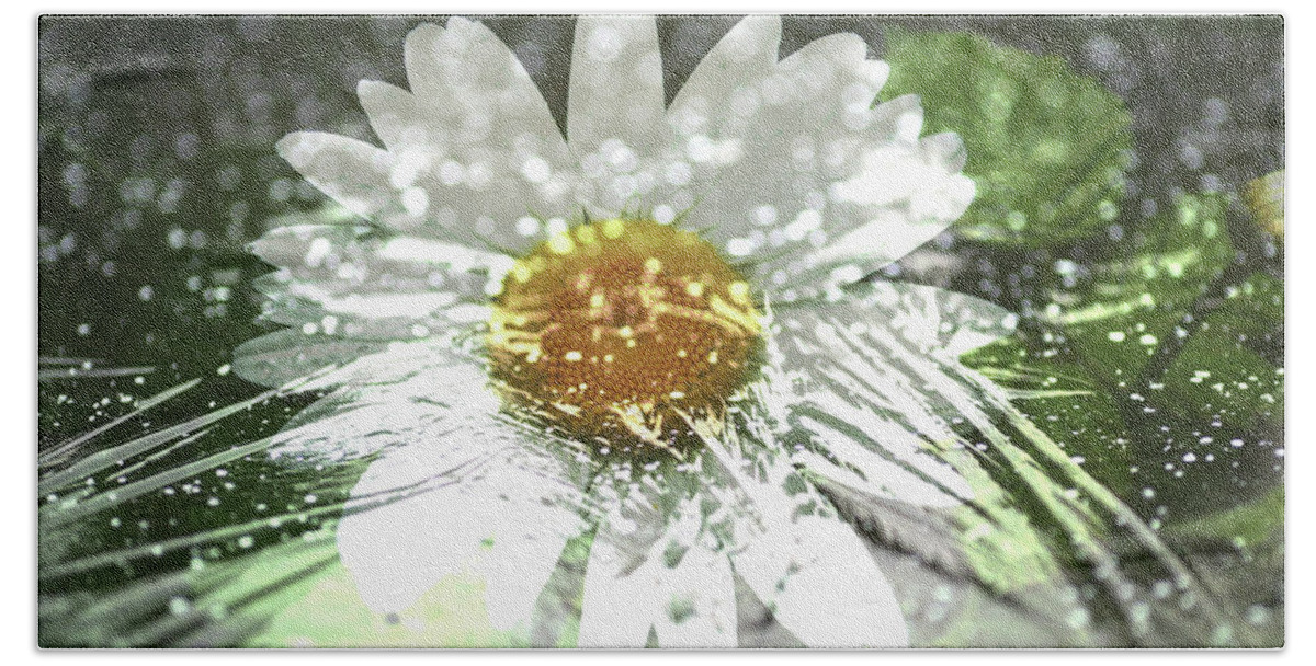 Daisy Bath Towel featuring the photograph Daisy on Ice by Rich Collins