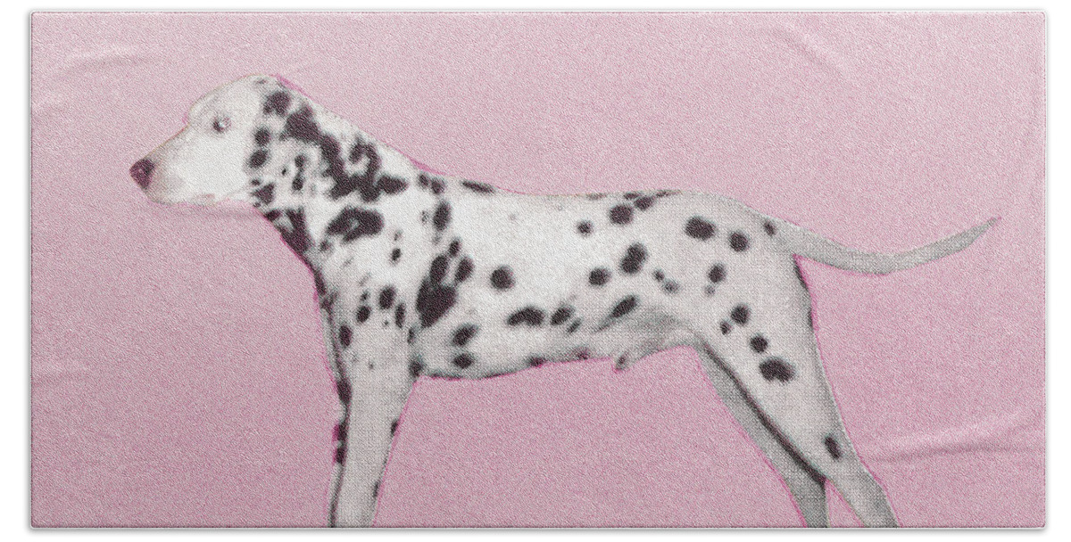 Animal Hand Towel featuring the drawing Dalmation by CSA Images