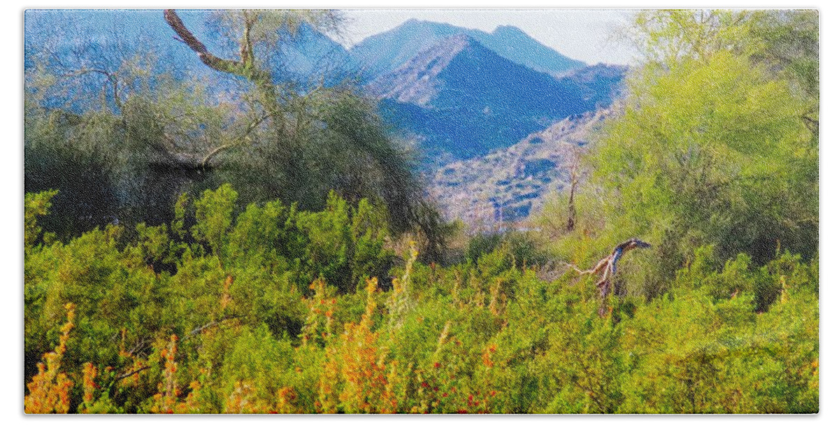Arizona Hand Towel featuring the photograph Deep Desert Valley in a Sonoran Desert Spring by Judy Kennedy
