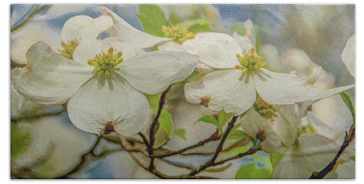 Dogwood Blossoms Hand Towel featuring the photograph Delicate Dogwoods by Marcy Wielfaert