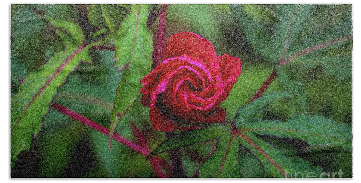 Flower Hand Towel featuring the photograph Delicate Hibiscus Bud by Susan Rydberg