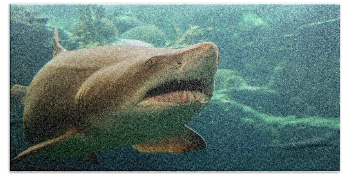 Shark Bath Towel featuring the photograph Denizen Of The Deep by Larry Linton