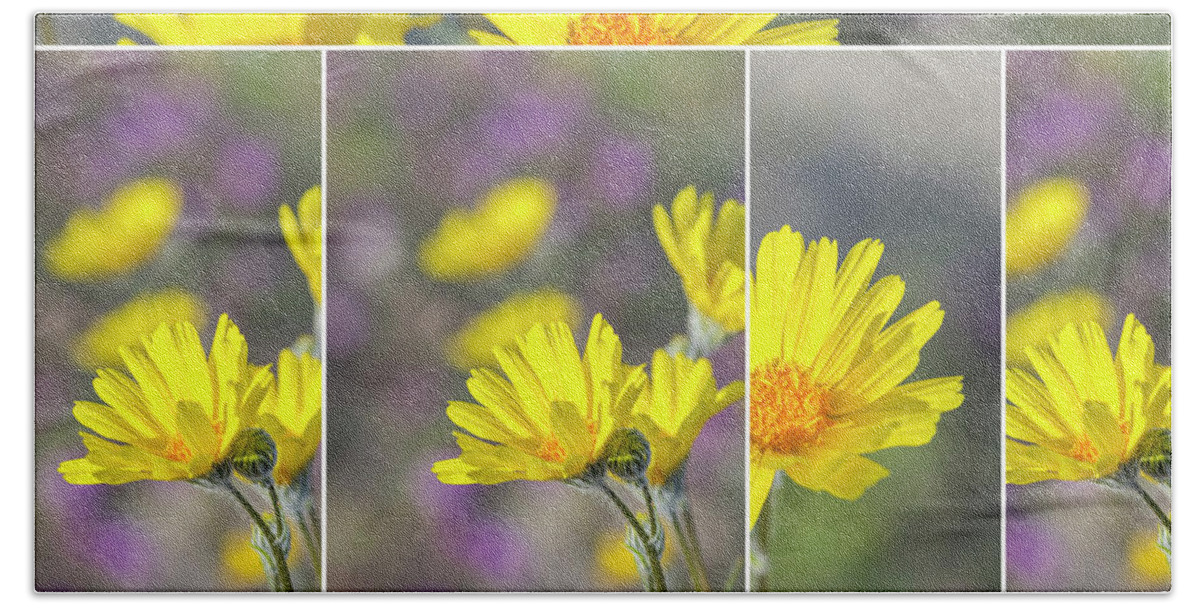 Flower Hand Towel featuring the photograph Desert Beauties #2 Collage by Joseph S Giacalone