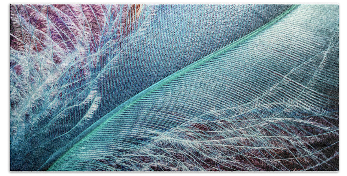 Feather Bath Towel featuring the photograph Detail of a Feather by Luis Vasconcelos