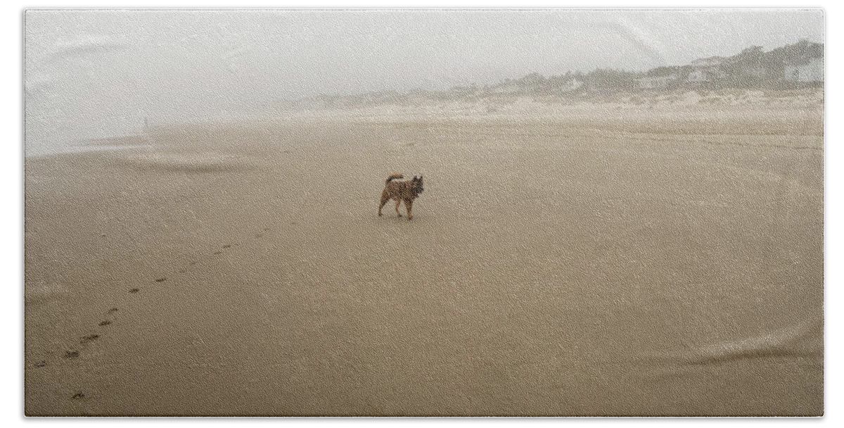 Dog On Lonely Heceta Beach Bath Towel featuring the photograph Dog on Lonely Heceta Beach by Tom Cochran