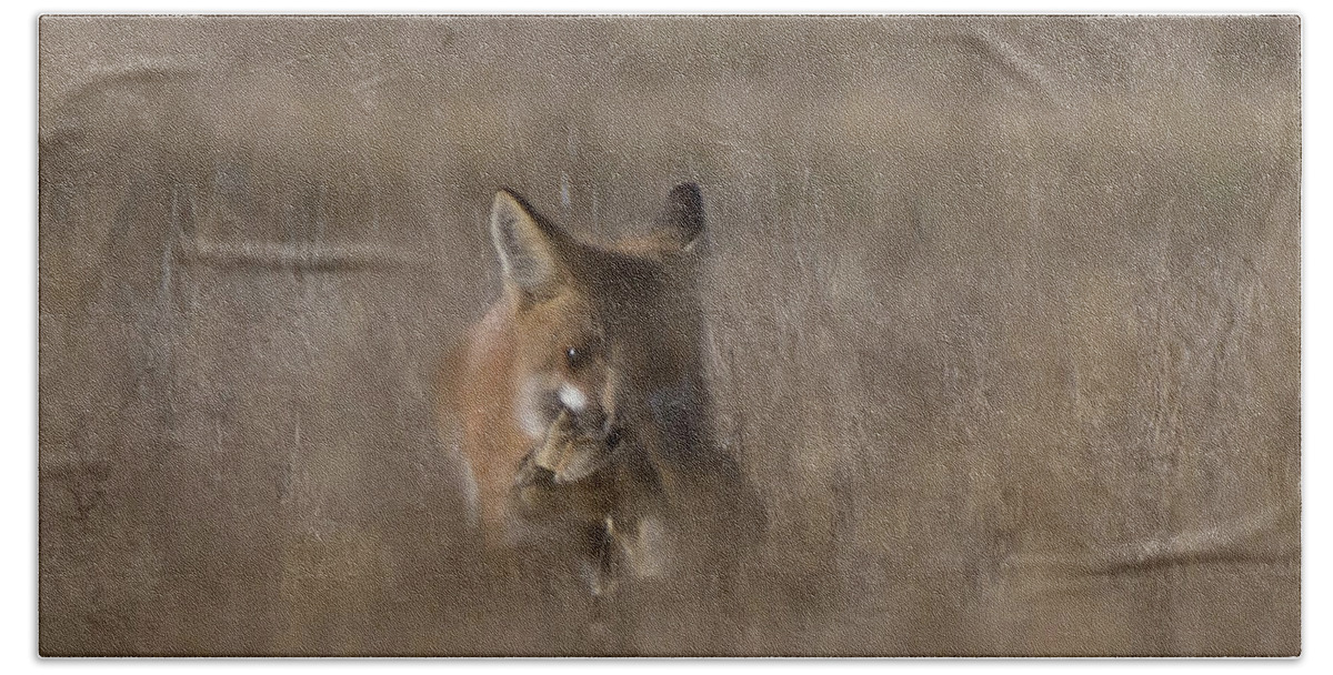 Fox Hand Towel featuring the photograph Doggone it by Patrick Nowotny