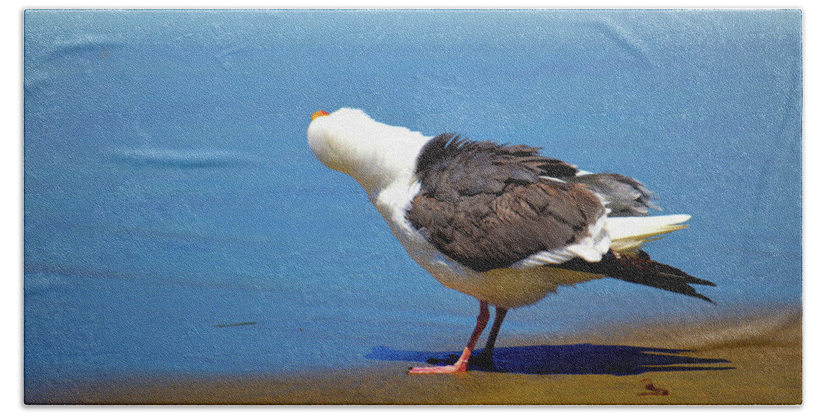 Seagull Bath Towel featuring the photograph Don't Take My Picture by Debra Kewley