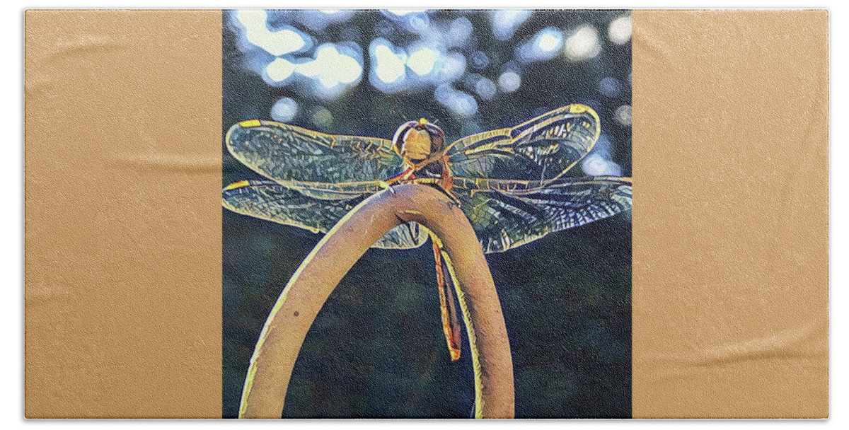 Dragonfly Hand Towel featuring the digital art Dragonfly in the Sun by Cindy Greenstein