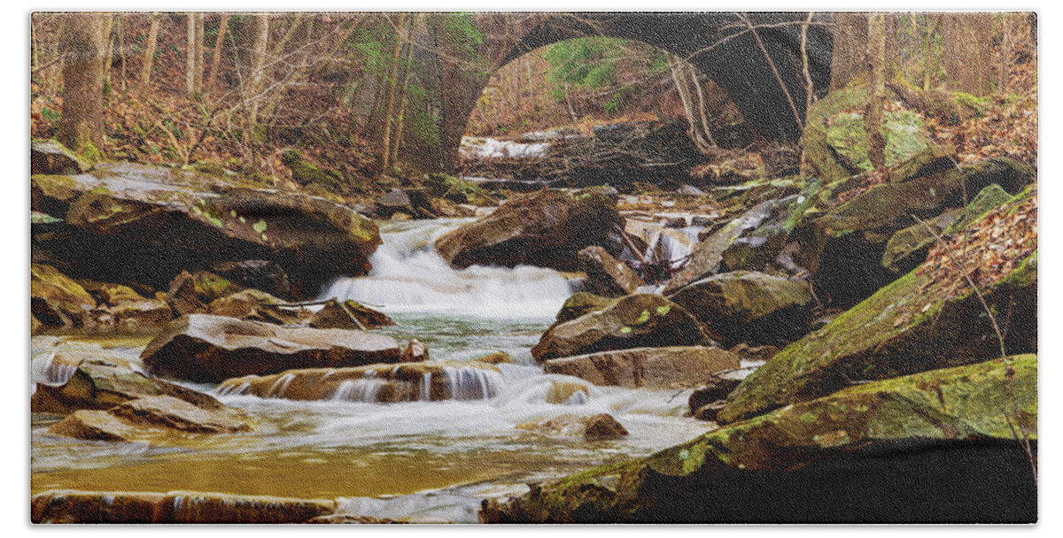 Stream Hand Towel featuring the photograph Drawdy Creek by SC Shank