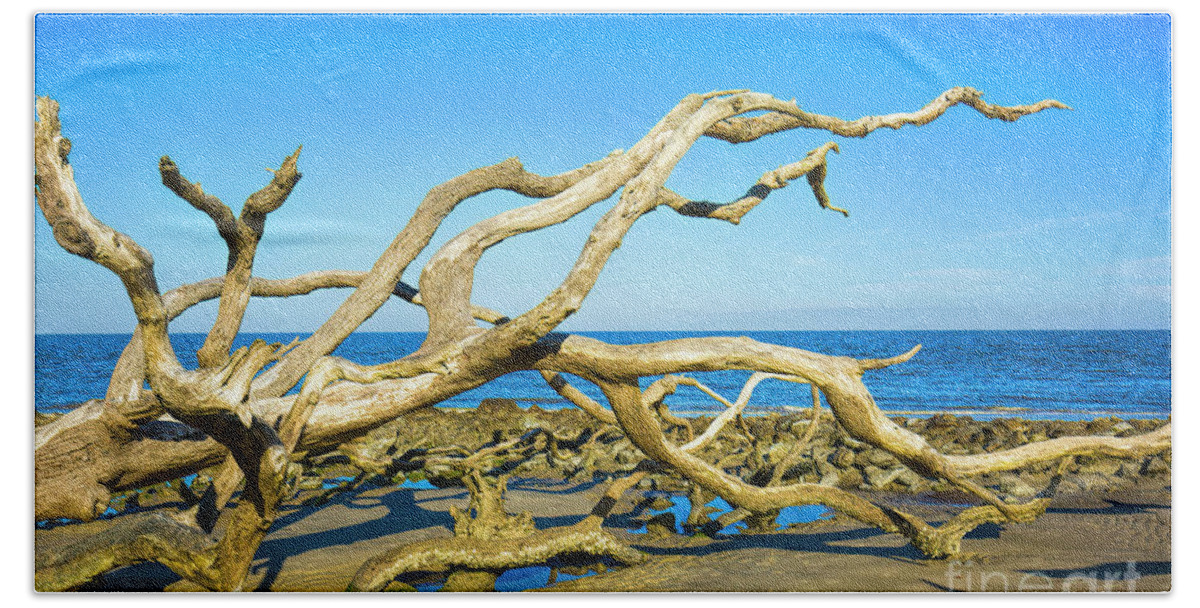Driftwood Hand Towel featuring the photograph Driftwood, Driftwood Beach, Jekyll Island, Georgia by Felix Lai