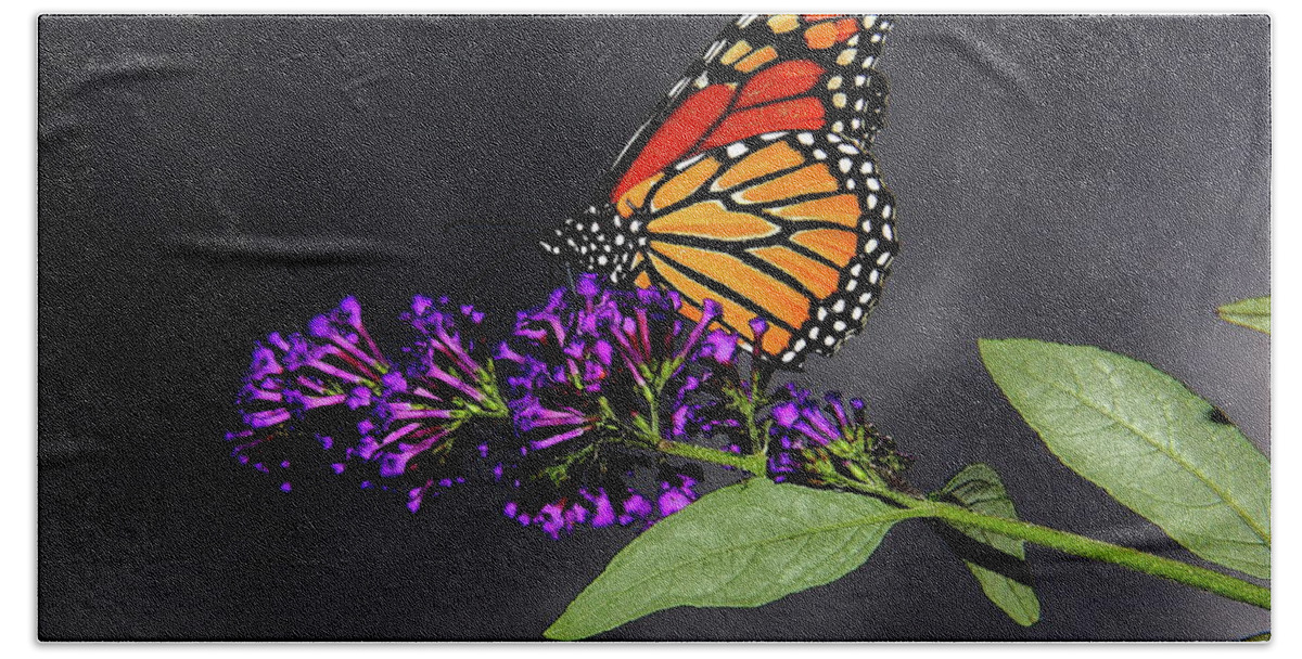  Butterfly Bath Towel featuring the photograph Drink Deeply of This Moment by Allen Nice-Webb