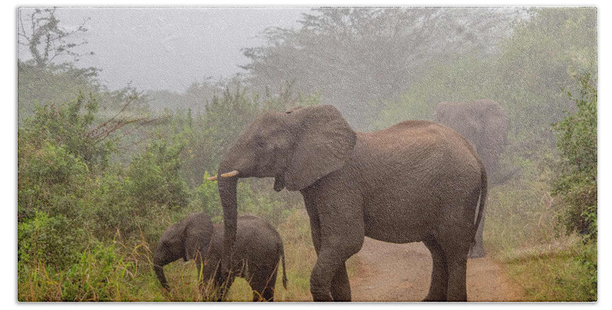 Hluhluwe-imfolozi Park Hand Towel featuring the photograph Early Morning Elephants by Marcy Wielfaert