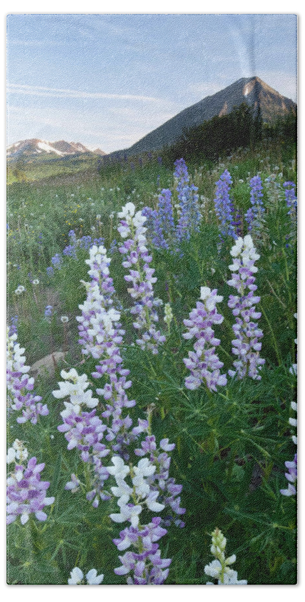 Lupine Bath Towel featuring the photograph Early Morning Lupine Mountain Portrait by Cascade Colors