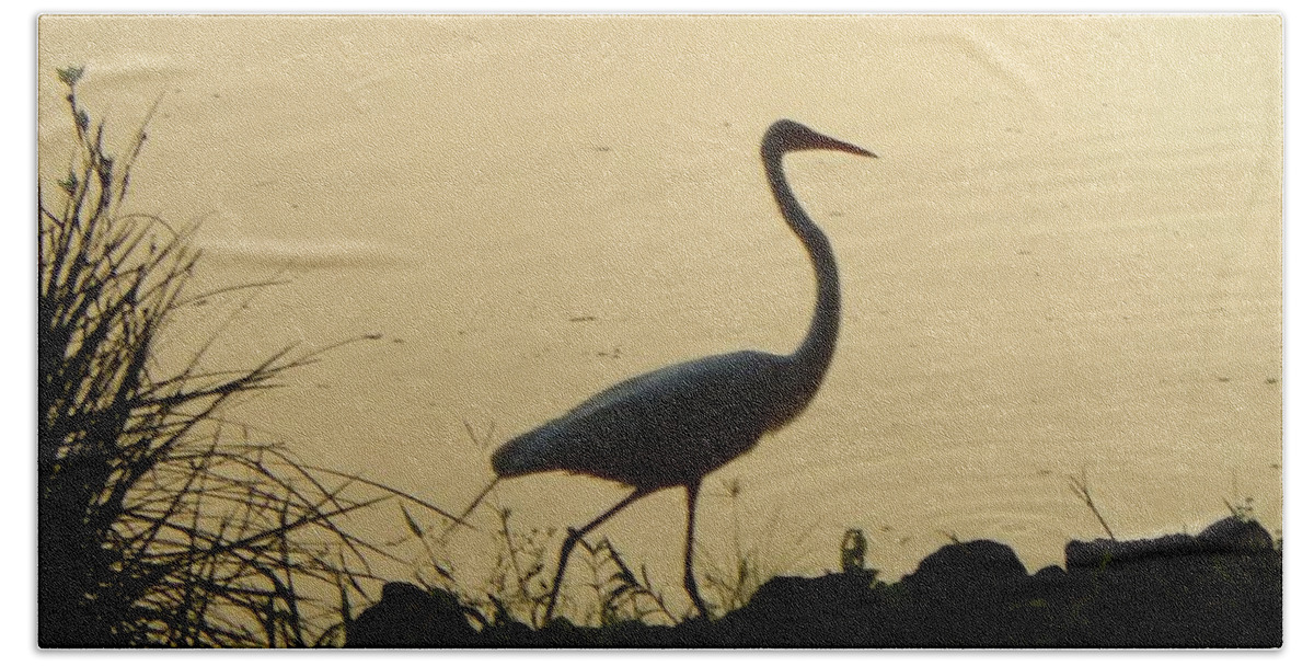 Bird Bath Towel featuring the photograph Egret in Silhouette by Karen Stansberry